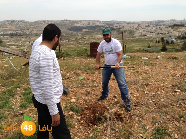 ludandyaffazaitoon (36).JPG